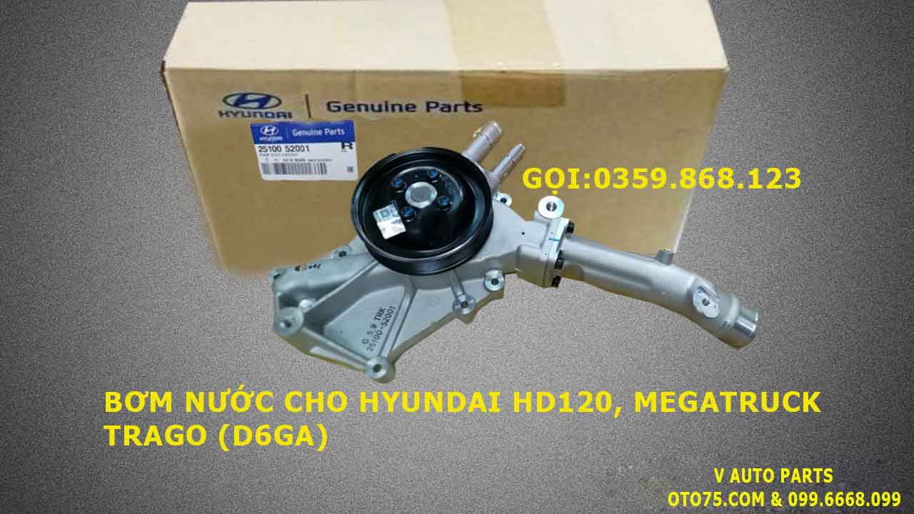 bơm nước 2510052001 cho hyundai hd120, megatruck, trago (d6ga)