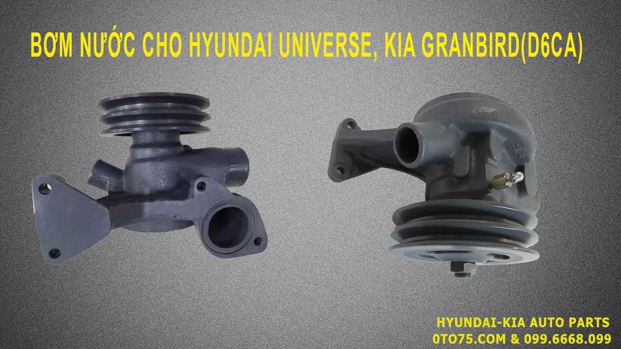 bơm nước 2510084100 cho hyundai universe, kia granbird(d6ca)