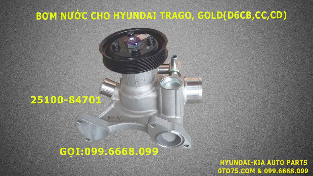 Bơm nước 2510084701 cho Hyundai Trago, Gold (D6CB, CC, CD)