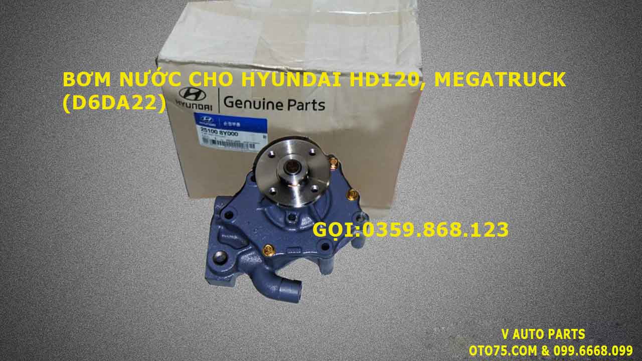 Bơm nước 251008Y000 cho Hyundai Hd120, Megatruck (D6DA22)