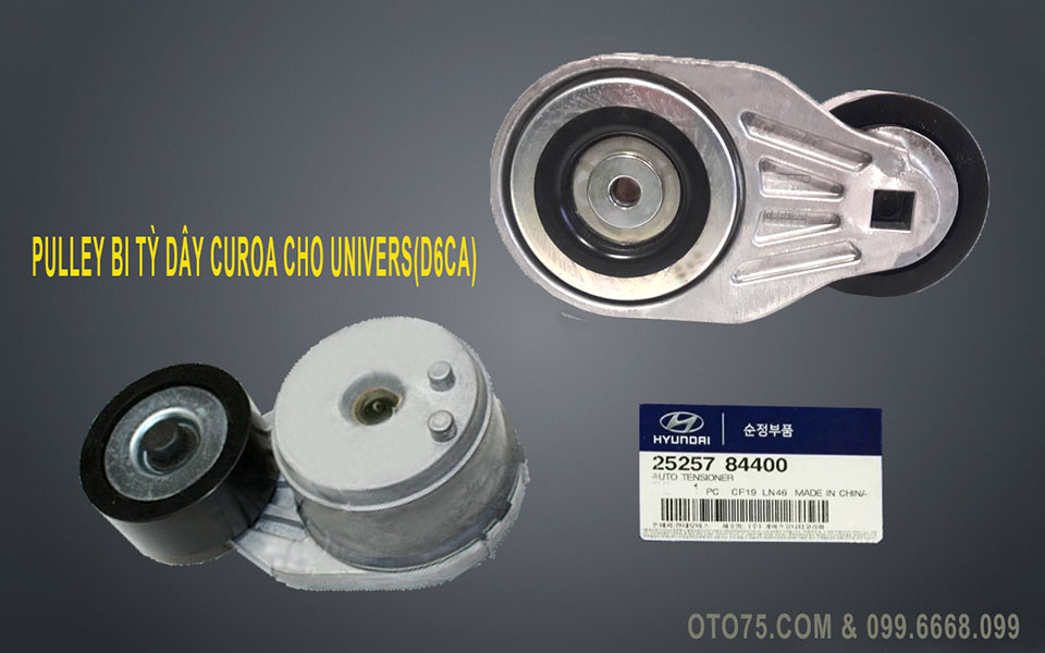 Bu li bi tỳ dây curoa 2525784400 cho Univers (D6CA)