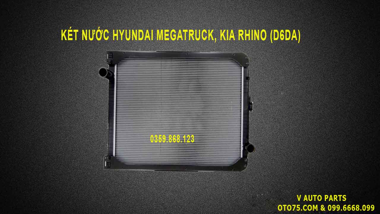 két nước 253006A703 hyundai megatruck, kia rhino (d6da)