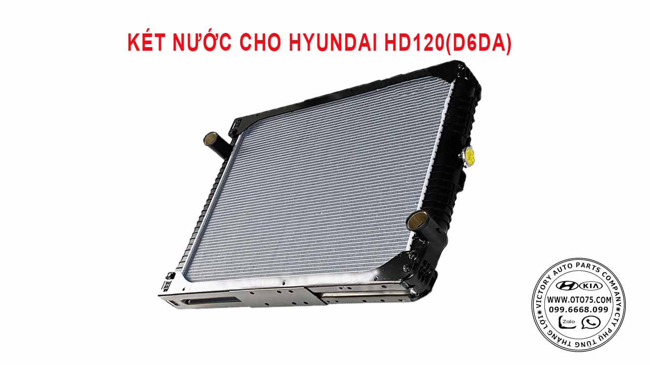 Két nước 253006A704 cho Hyundai HD120 (D6DA)