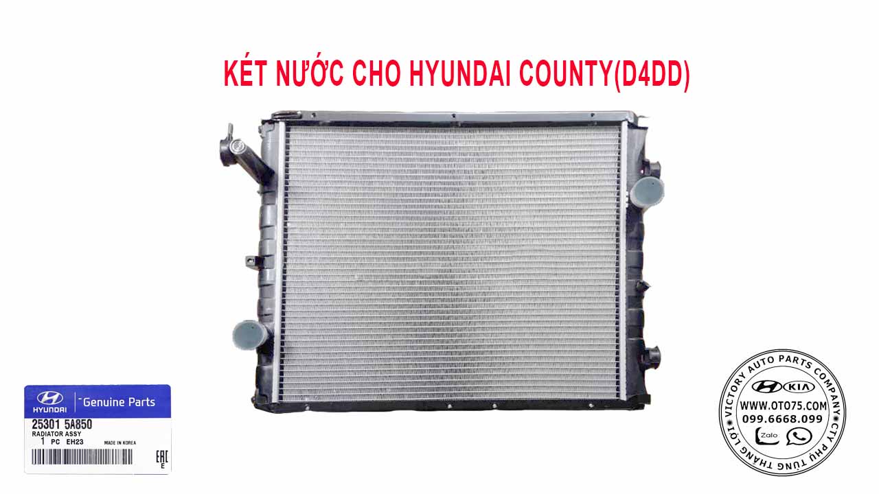 Két nước 253015a850 cho Hyundai County D4DD