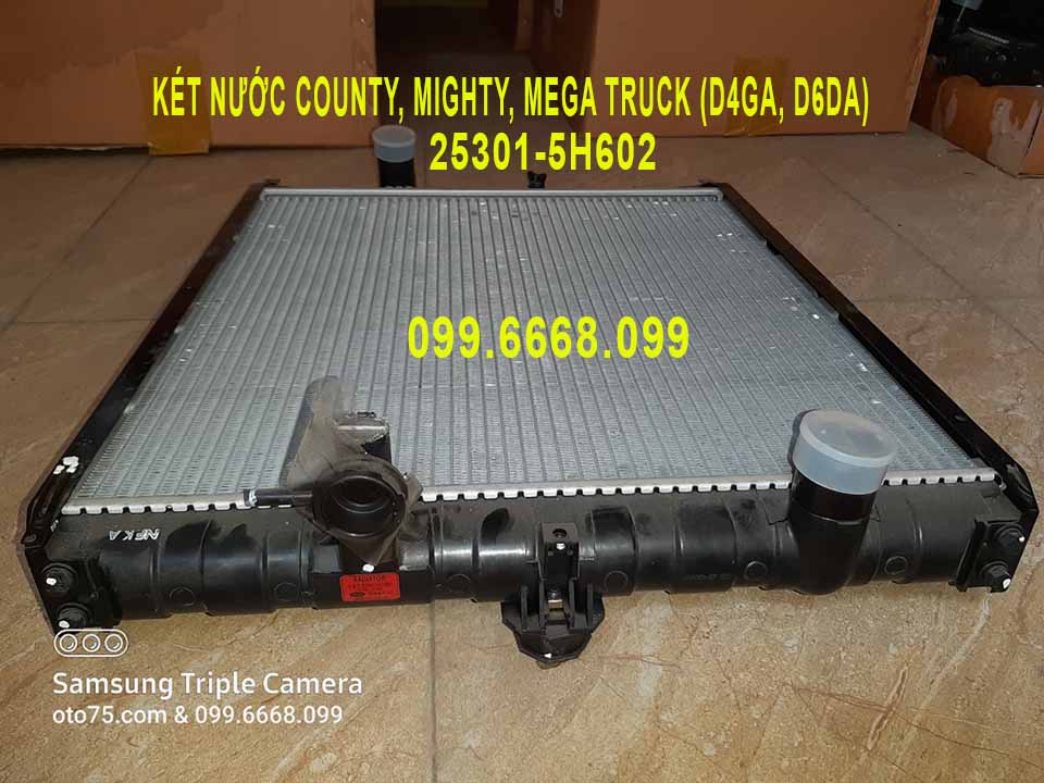 Két nước 253015h602 cho County, Mighty, Mega truck (D4GA, D6DA)