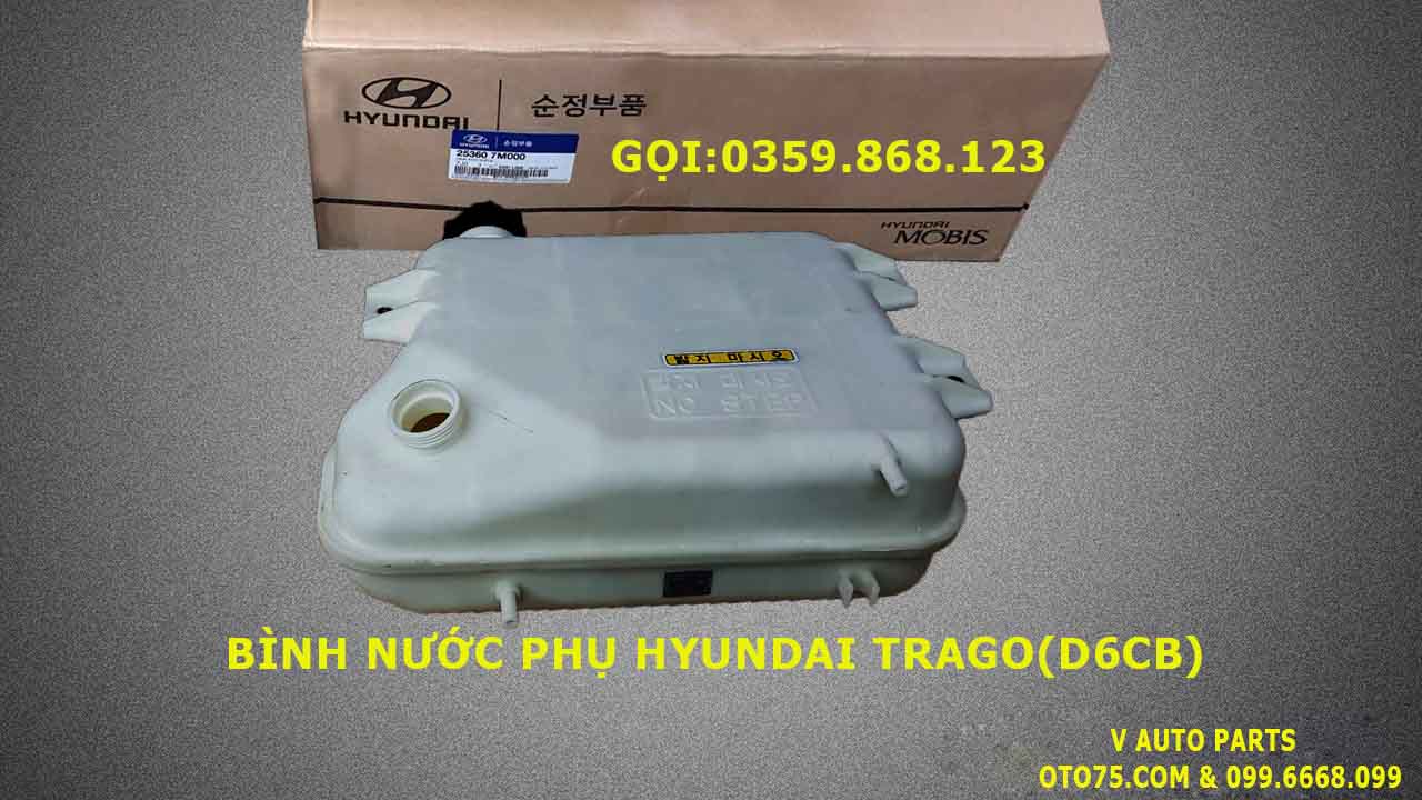 Bình nước phụ 253607M000 cho Hyundai Trago (D6CB)