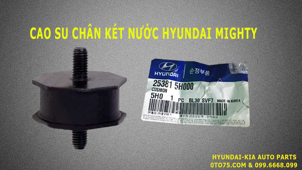 Cao su chân két nước 253815h000 cho Mighty