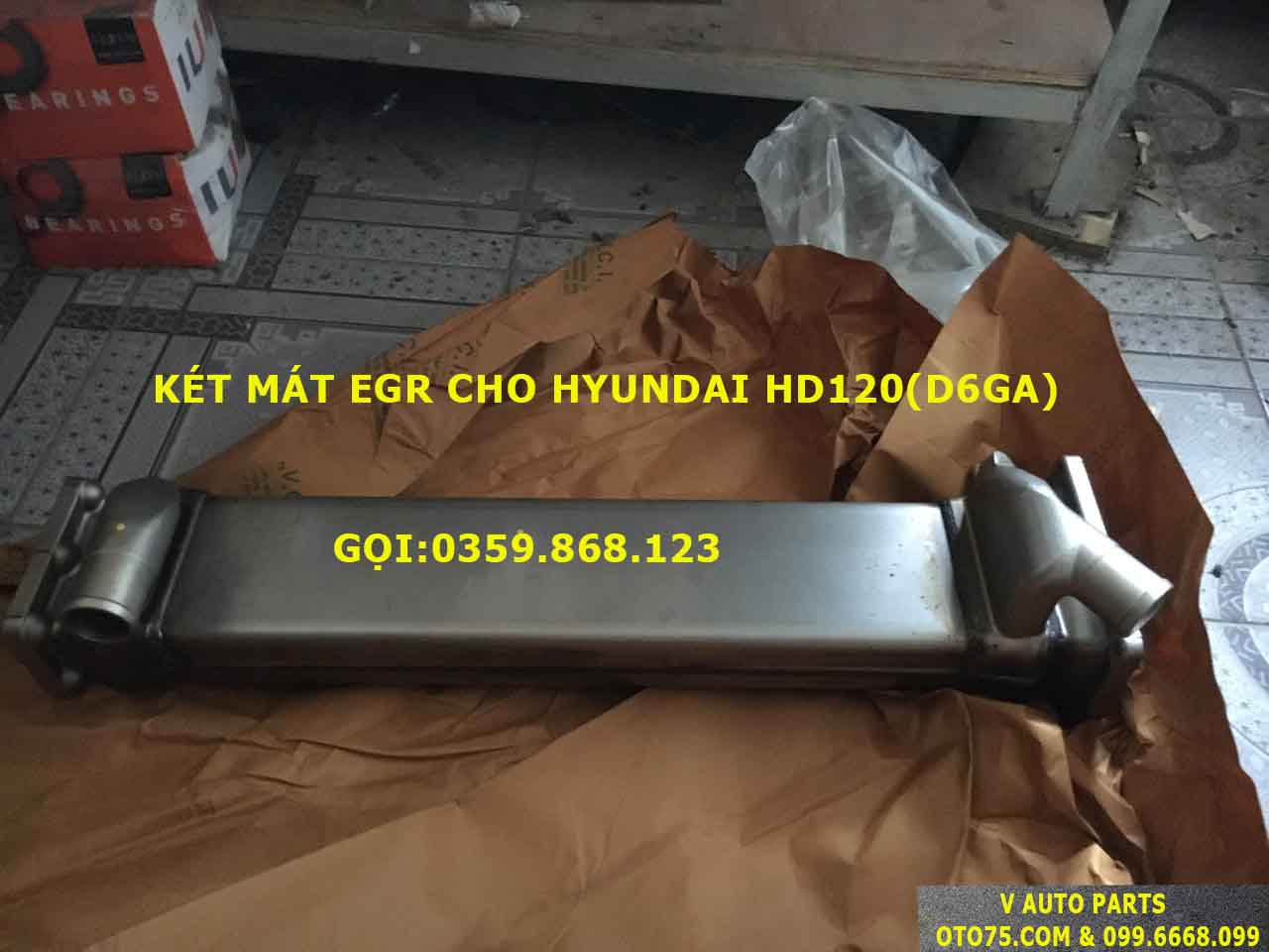 Két mát EGR 2841052000 cho HD120 (D6GA)