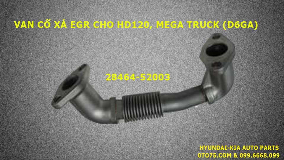 Van cổ xả EGR 2846452003 cho hd120, mega truck (D6GA)