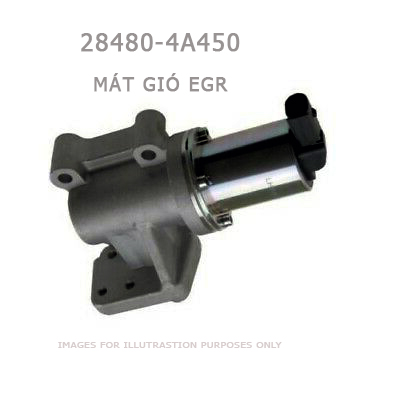 Mát gió EGR 284804a450 cho Starex