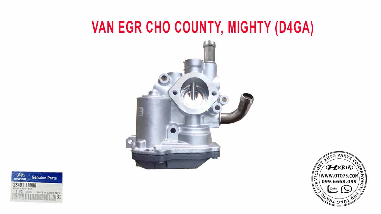 Van EGR 2849148000 cho County, Mighty (D4GA)