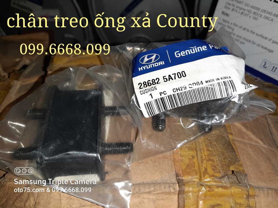 Chân treo ống xả 286825A700 cho County