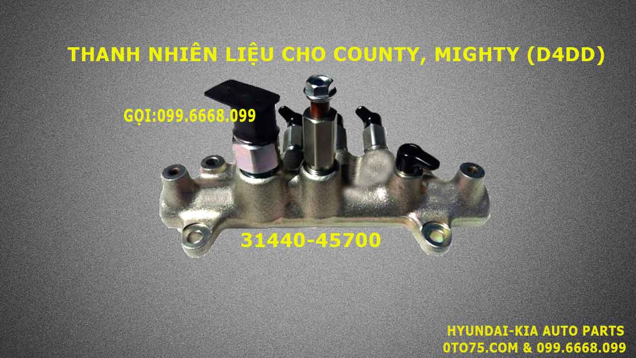 Thanh nhiên liệu 3144045700 cho county, mighty (d4dd)