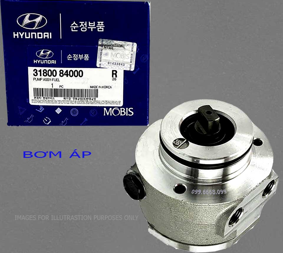 Bơm áp 3180084000 cho Universe (D6CA, CB)