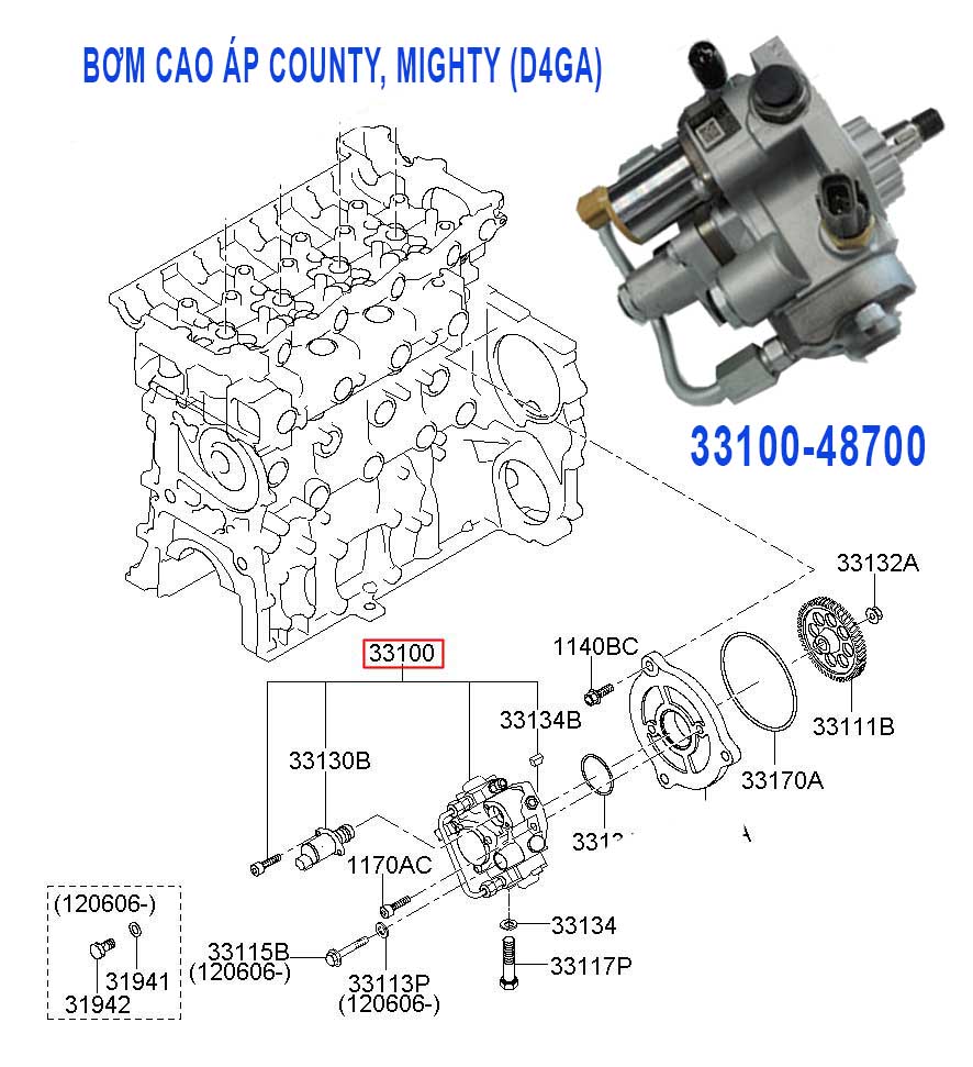 Bơm cao áp 3310048700 cho County, Mighty (D4GA)