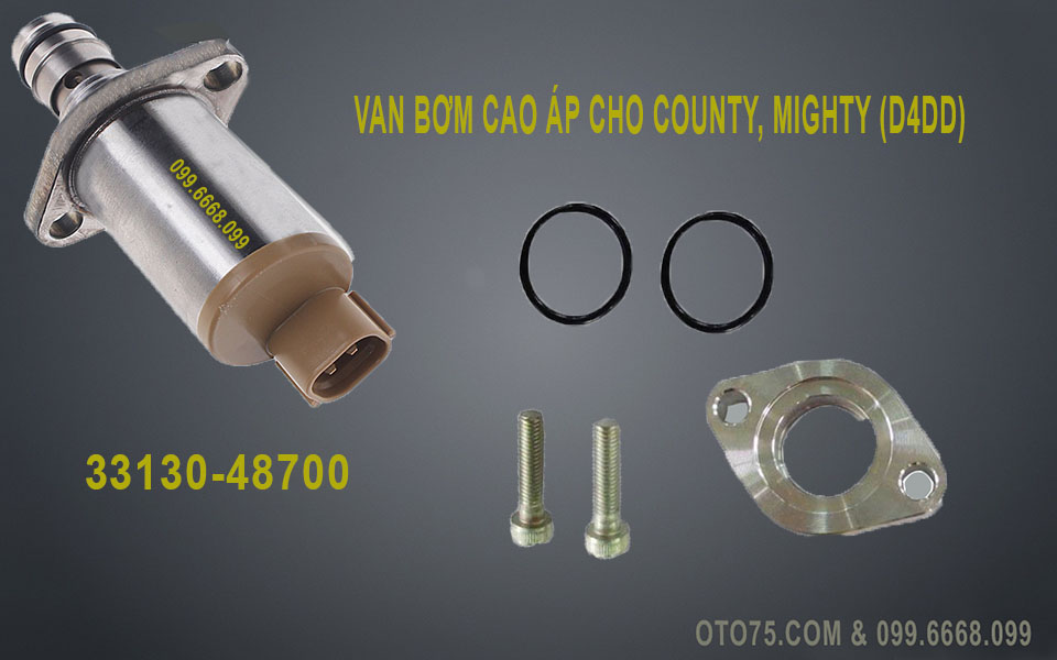 Van bơm cao áp  3313048700 cho County, Mighty (D4DD)