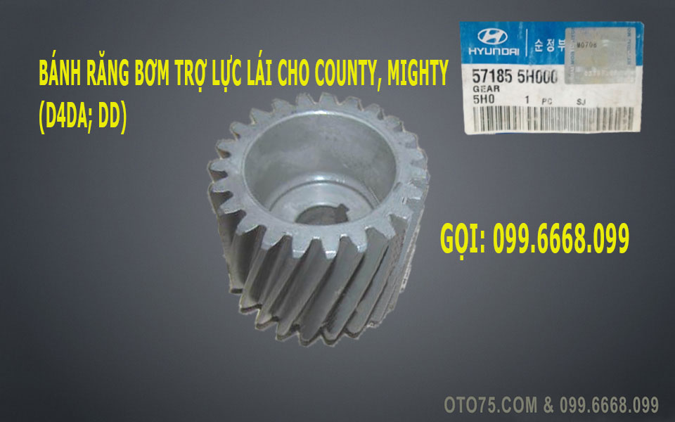 Bánh răng bơm trợ lực lái 571855h000 cho County, Mighty (D4DA, DD)