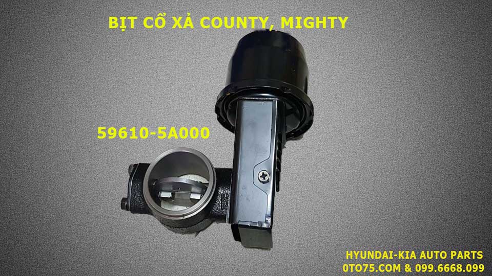 Bịt cổ xả 596105A000 cho County, Mighty