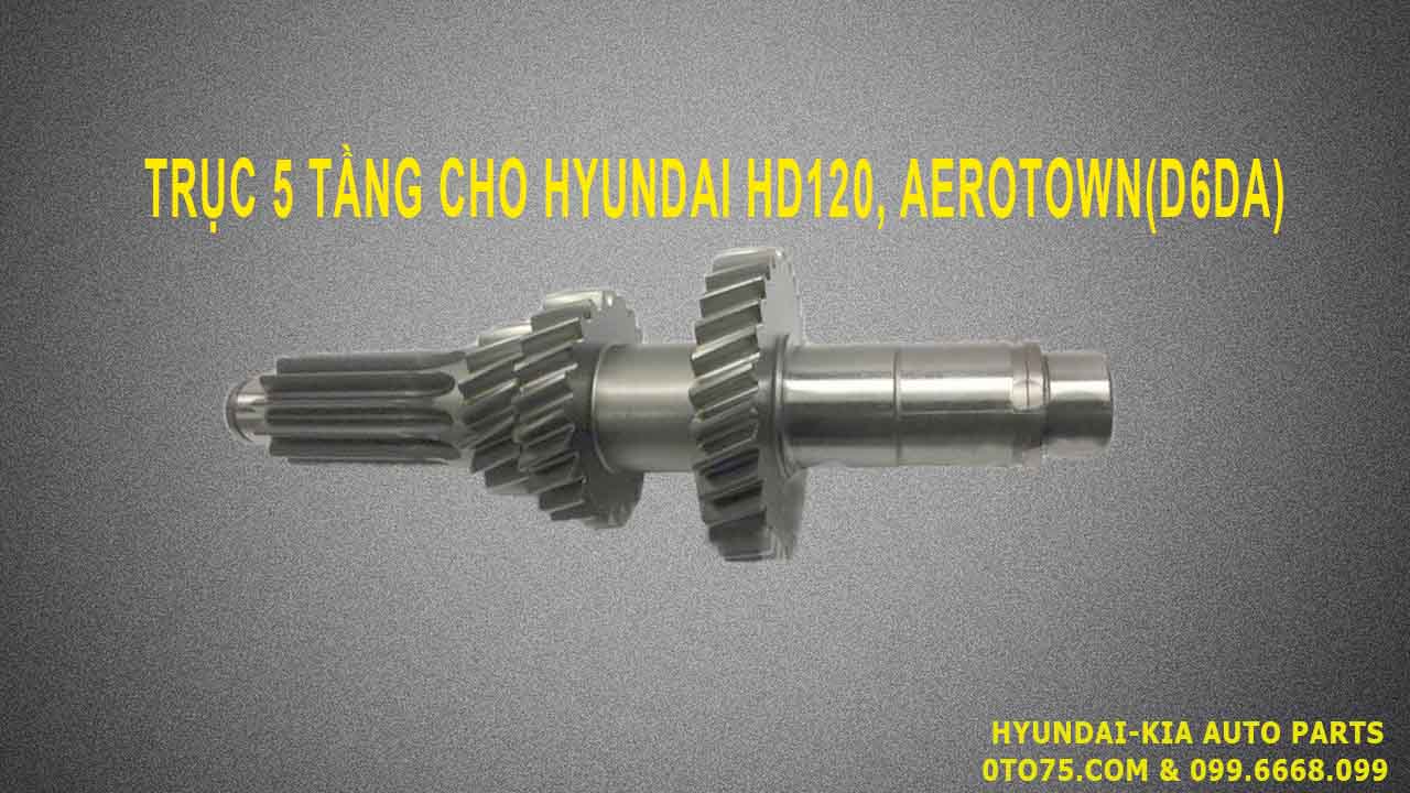 trục 5 tầng QW434176A340 cho hyundai hd120, aerotown(d6da)